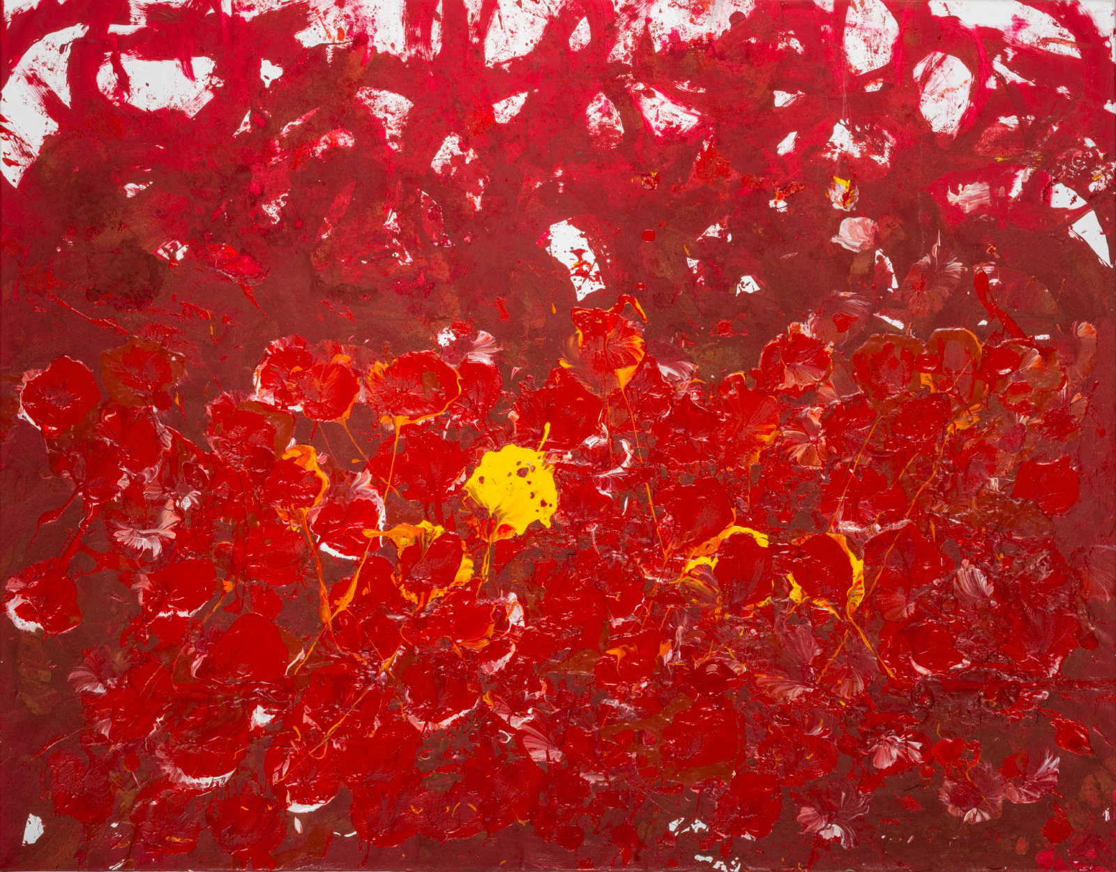 Bild_4_Holas-025_web