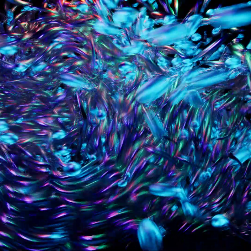 Videocittà 2024, Roma